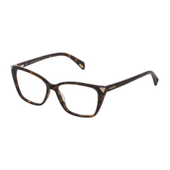 Police Brown Acetate Sunglasses